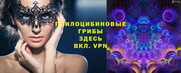 стаф Саяногорск