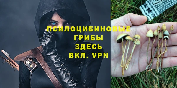 трава Алзамай